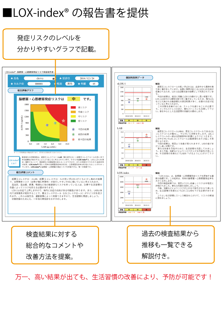 LOXindexパンフレット表