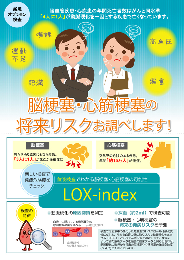 LOXindexパンフレット裏